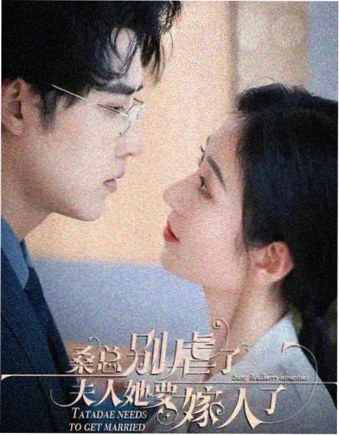 免费在线短剧《离婚后我成了顶流》海报